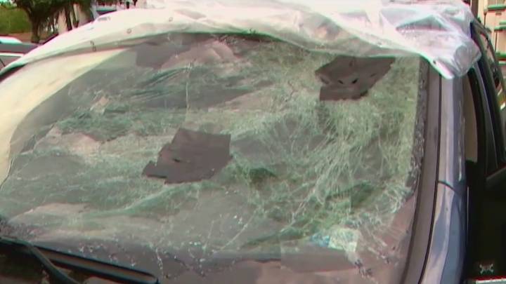 'It's a miracle,' Family survives flying tire crash on Florida's Turnpike