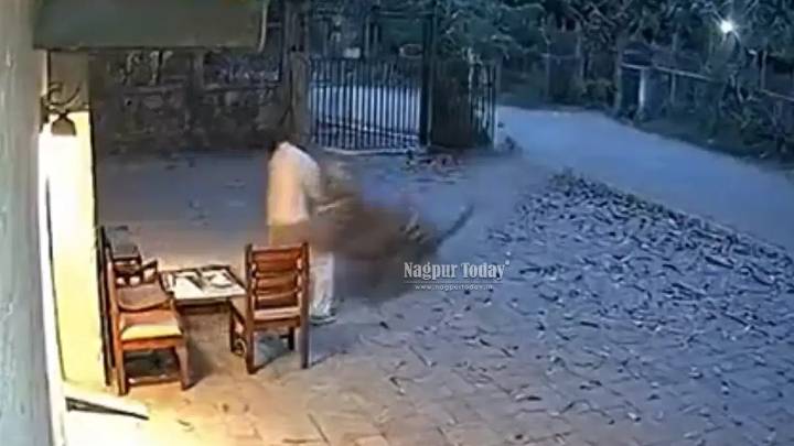 Fake AI video of tiger killing man in Brahmapuri triggers Forest Dept action