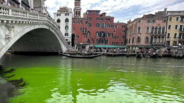 Venecia veta por 48 horas a Greta Thunberg por teñir el Gran Canal de...
