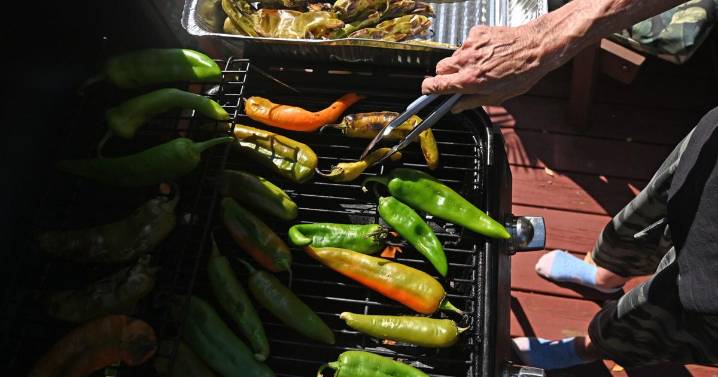 Fall cooking: Hatch chiles add heat and flavor to dishes