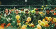 Super Furry Animals announced as Bristol Sounds headliner
