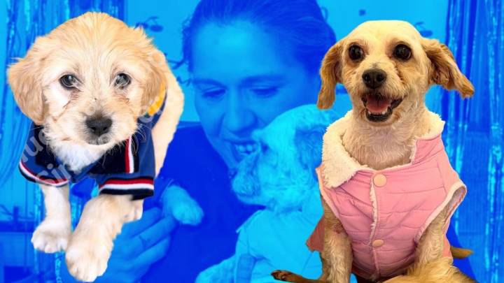 Cereza y Cerecito, la prueba de que donde hubo cenizas, puede nacer esperanza; piden ayuda para pagar gastos médicos