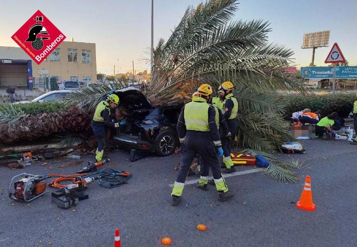 Fallece un conductor de 22 años al caerle una palmera en una carretera de Torrevieja
