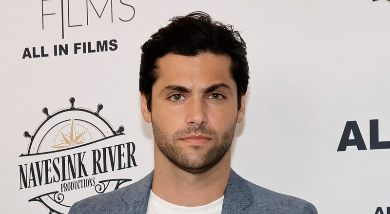 Is Matthew Daddario Single or Married? All About Hallmark’s Hottest New Actor! | esther kim, Hallmark Channel, Matthew Daddario 