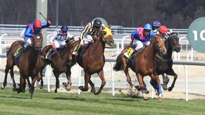 Kincsem, la yegua que nunca perdió