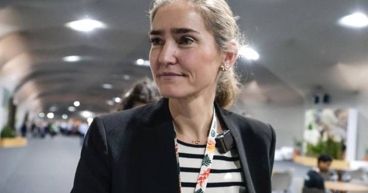 La UE apoya acuerdo de COP30, pero exige más ambición frente al cambio climático