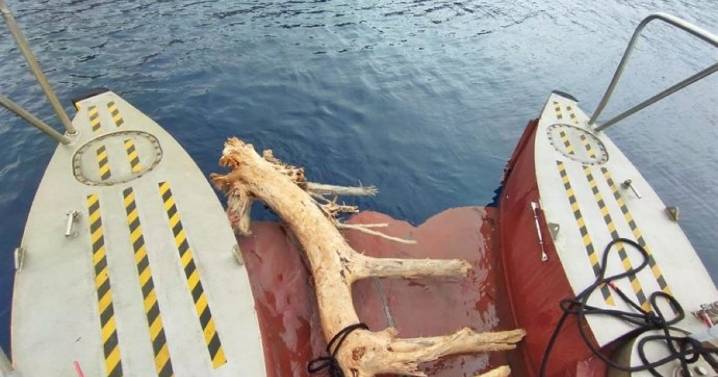 El Servicio de Limpieza del Litoral retira un 32% más de residuos que el año pasado en las costas de Baleares