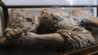 Un estudio de ADN, a punto de cambiar el curso de la historia: las víctimas de Pompeya no son las que creíamos
