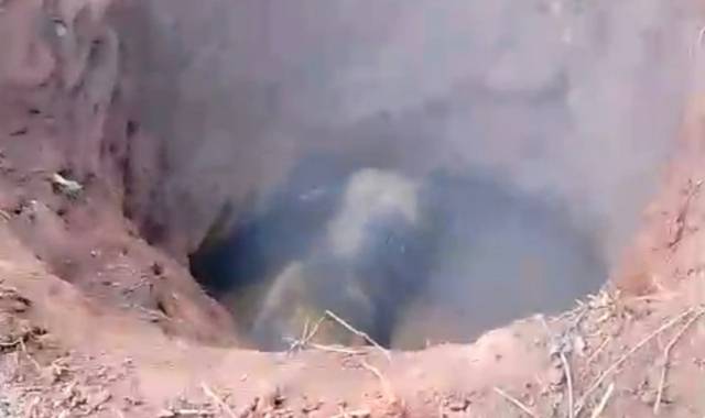 Back-to-Back Elephant Rescues in Bolangir Forest Range