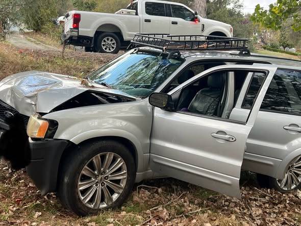 Family dog dies, person injured in Northern California car crash