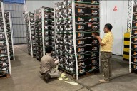 Por primera vez, exportarán naranjas frescas desde Entre Ríos a Ecuador