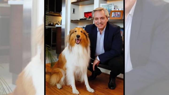 Murió Dylan, el perro de Alberto Fernández: la despedida en redes del ex Presidente