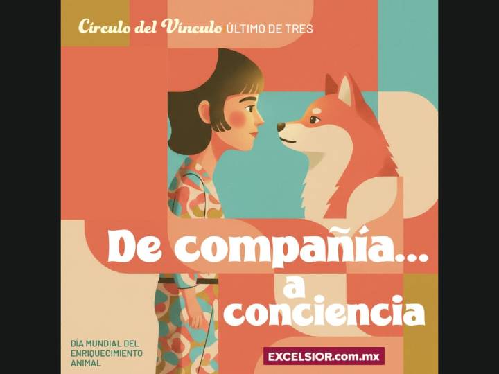 Del patio al sofá: cómo los animales cambiaron nuestra forma de vivir