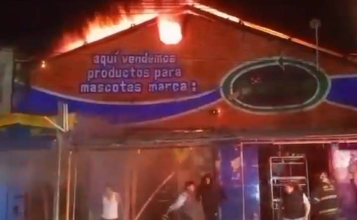 Incendio en el mercado de mascotas en la Morelos deja animales muertos y heridos