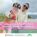 Está abierta la convocatoria para construir la Red de Protección y Bienestar Animal de Boyacá