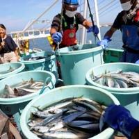 China to halt Japan seafood imports amid Taiwan spat: reports