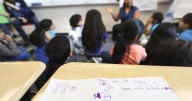 Delayed EQAO results will be out next week: Ford government