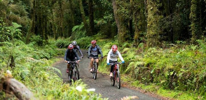 Cómo llegar al Parque Futangue: guía completa para visitar uno de los lugares turísticos en Chile más fascinantes