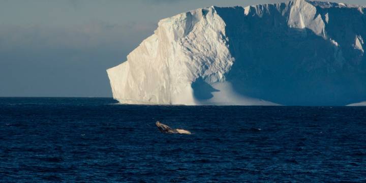 Científicos alertan sobre el impacto de un deshielo polar acelerado en el equilibrio climático del planeta