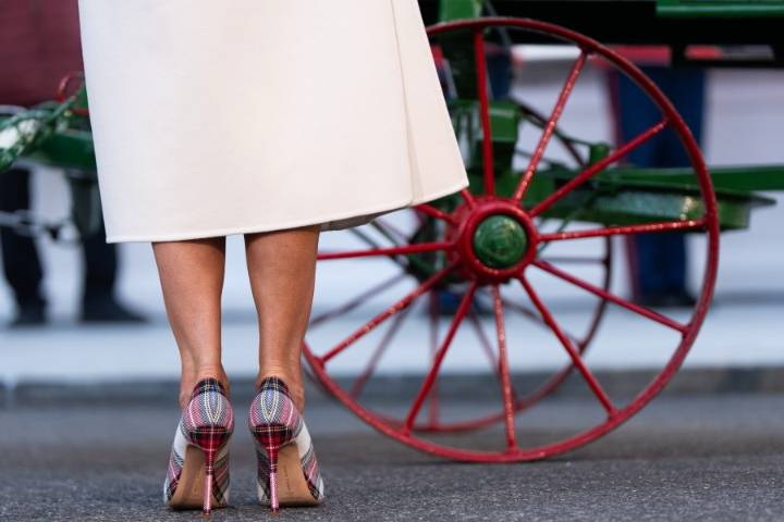 Melania Trump welcomes Christmas tree to the White House