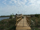 Best free & cheap things to do this weekend in South Florida