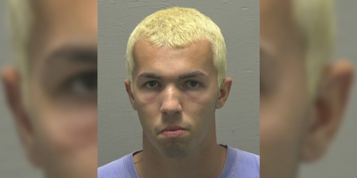 Former babysitter, afterschool program director pleads guilty to child sexual exploitation charges