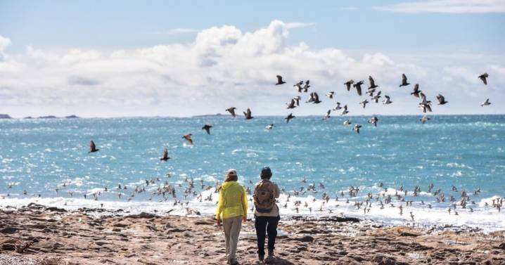 Refugios de Mar: casas mínimas y un paisaje infinito en la costa más azul de la Patagonia