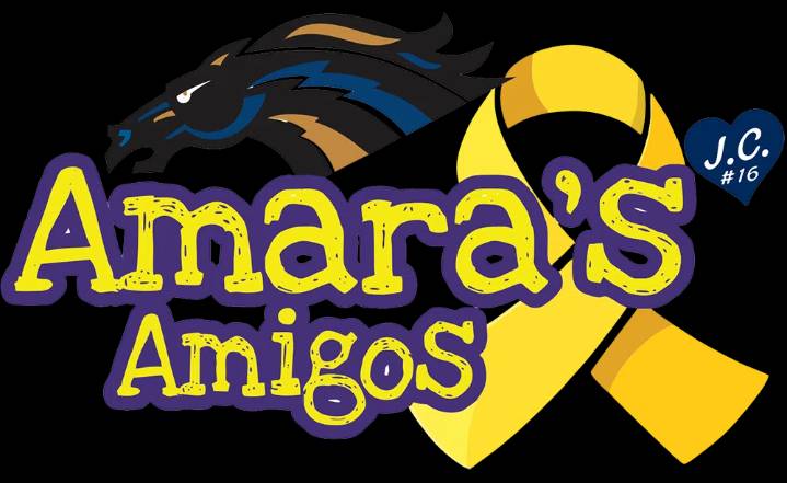 Swan Valley Stampeders shine on Hockey Fights Cancer Night