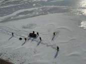 Truck driver in fatal Cheat Lake crash now in ICE custody