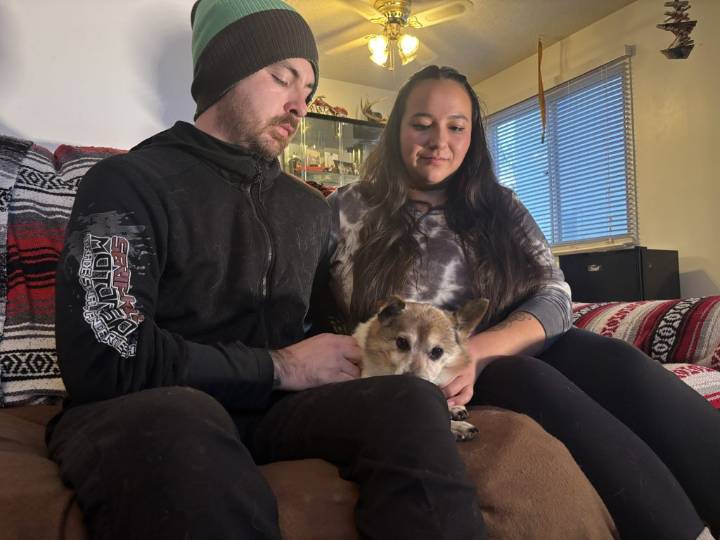 Edmonton couple scammed out of $115 after believing fake pet