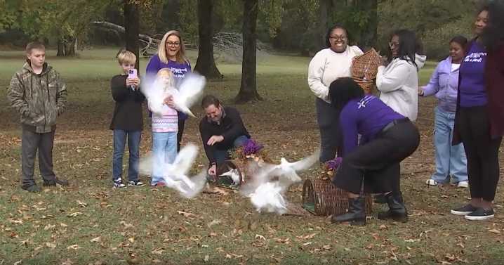 Dove release marks end of Domestic Violence Awareness Month but advocates say mission continues