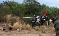 Cayó una avioneta narco en Salta con 130 kilos de cocaína