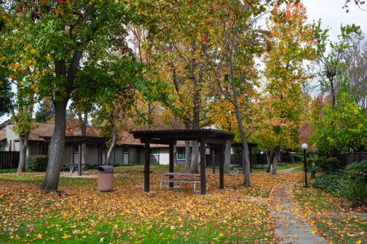 Another Bay Area city is banning gas-powered leaf blowers. But not everyone is ready for the switch to electric.