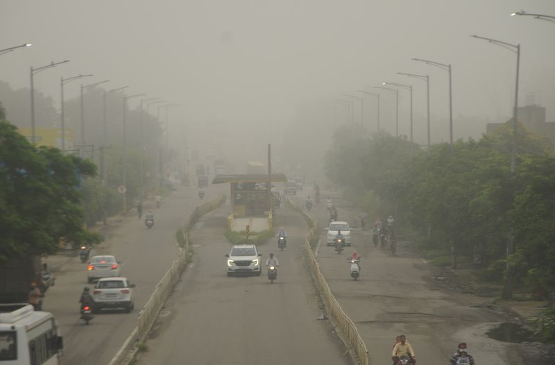 Combat winter fog hazards with proactive road safety