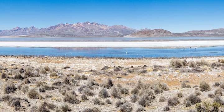 ¿Cuál es la temperatura promedio en Arequipa?