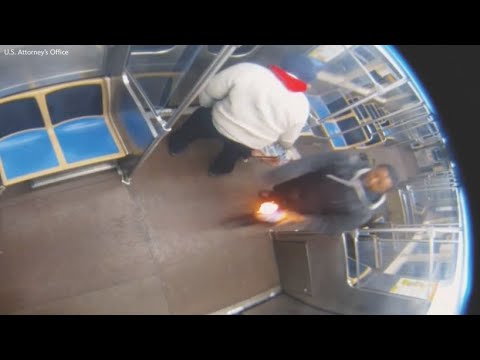 Woman set on fire on Chicago train allegedly by Lawrence Reed, attorneys say