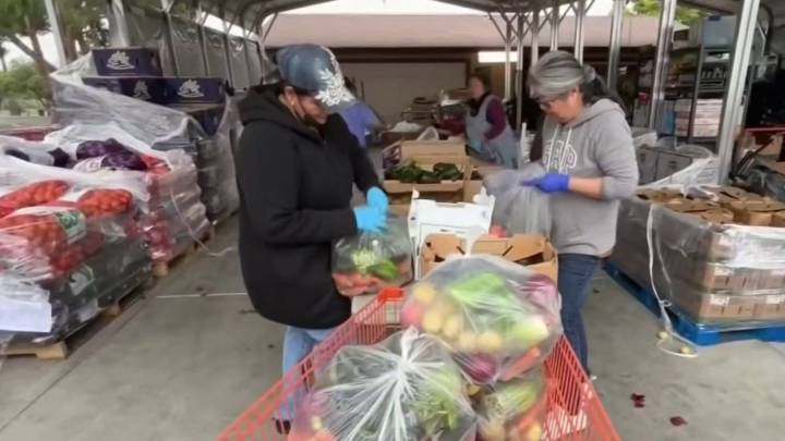 Escuelas del Área de la Bahía se preparan ante posible suspensión de SNAP