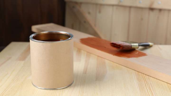 DIY The Cutest Thanksgiving Turkey Decor With Dollar Tree Supplies