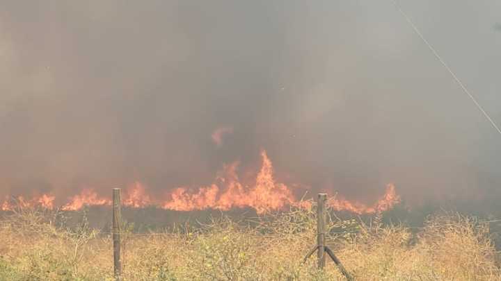 Incendio forestal en Pudahuel: Bombero y brigadista de Conaf sufrió paro cardiorrespiratorio