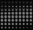 Scientist turns people’s mental images into text using ‘mind