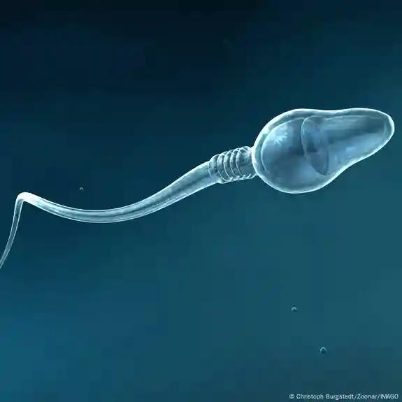 IA logra primer embarazo en caso de infertilidad masculina