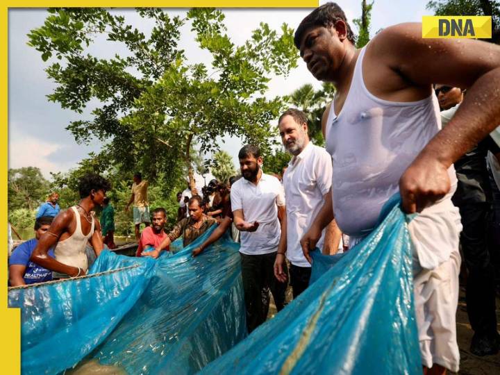 Bihar Election 2025: Tej Pratap Yadav has a career advise for LoP Rahul Gandhi