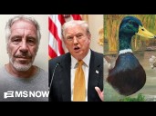Epstein scandal DRAGS Trump approval as GOP revolts & eyes plans after 'lame duck' Trump is GONE