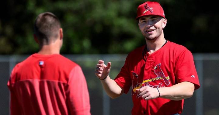 Cardinals prospect Travis Honeyman relishes fall experience