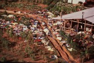 The Jonestown massacre