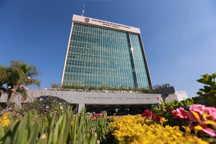 UdeG anuncia programa para otorgar definitividad a profesores de asignatura