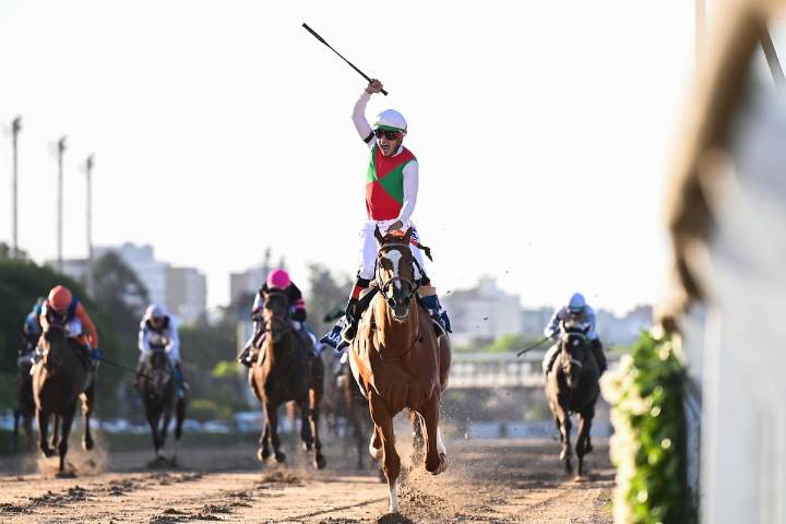En las gateras. Un Dardo Rocha con 20 caballos confirmados, “la 10 de Messi y Maradona” y una aplicación habilitada