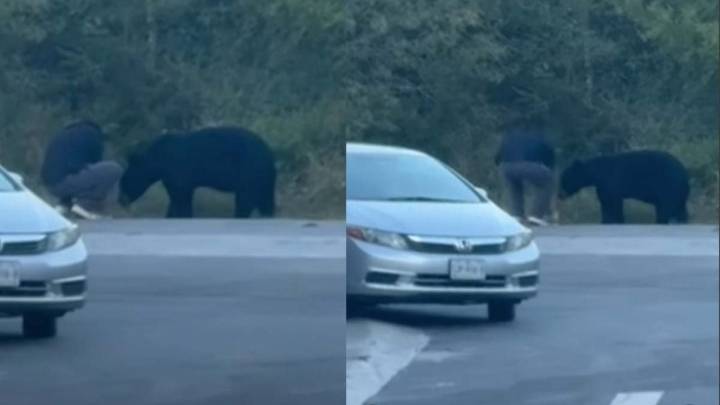 Hombre detiene su marcha para alimentar a oso en la Carretera Nacional
