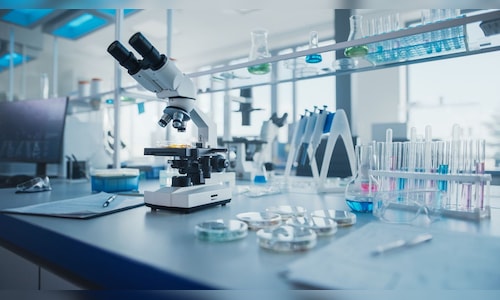 Neuland Laboratories Q2 Results | Net profit jumps over 2-fold on strong CMS project revenue