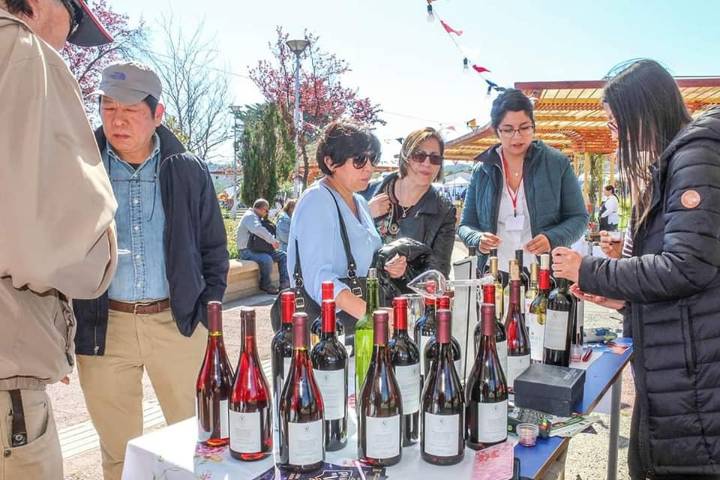 Portezuelo invita a celebrar su Aniversario 2025 y vivir la tradicional Fiesta del Vino.